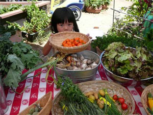 farmstand