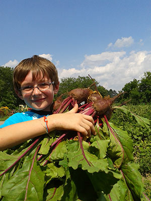 Dylan Picking Beets